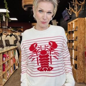 Pull manches longues homard